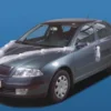 Autonkoriste, 2 kpl organzaköynnöstä satiinikukkasin