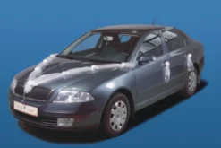 Autonkoriste, 2 kpl organzaköynnöstä satiinikukkasin