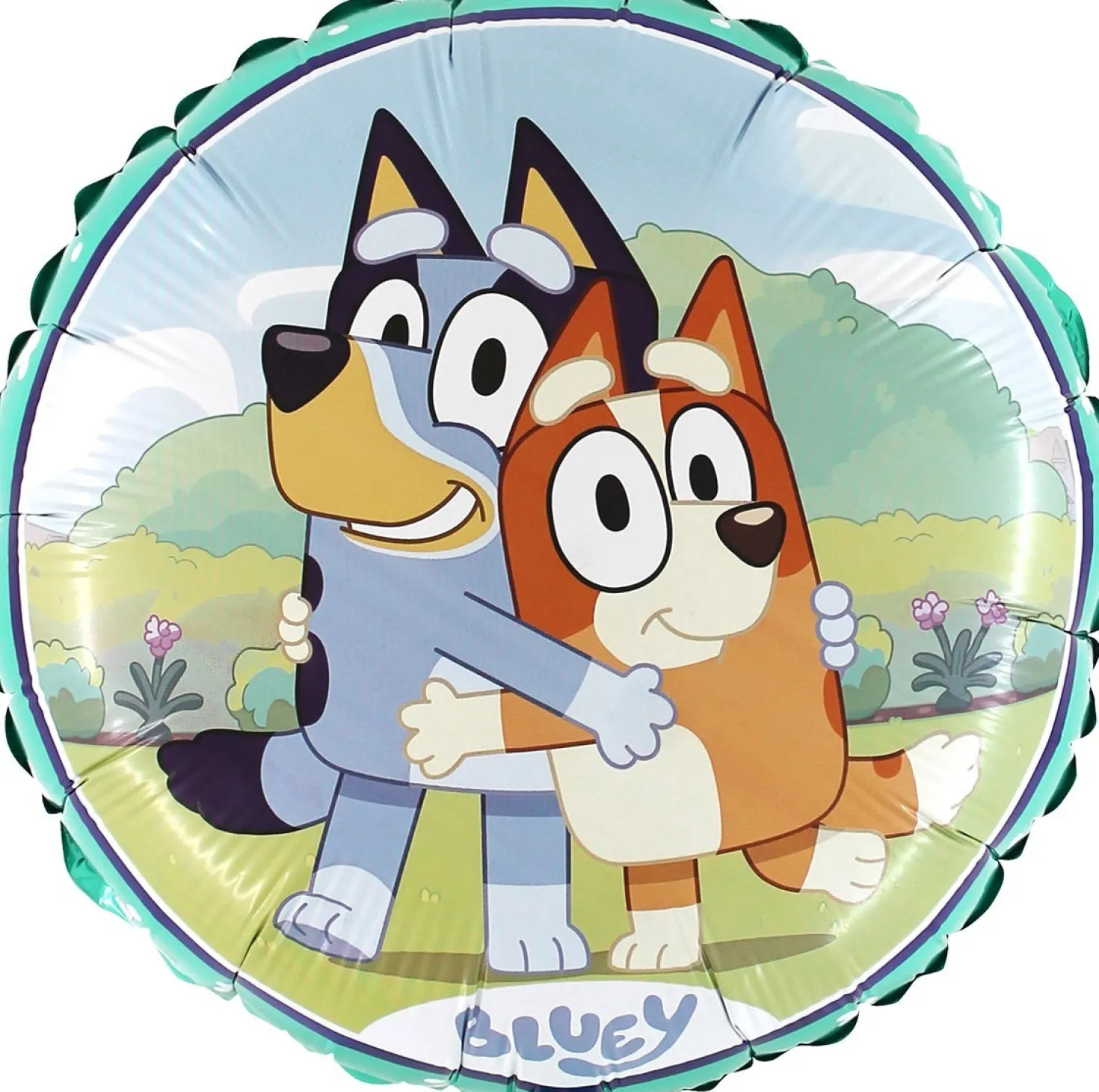 Bluey foliopallo