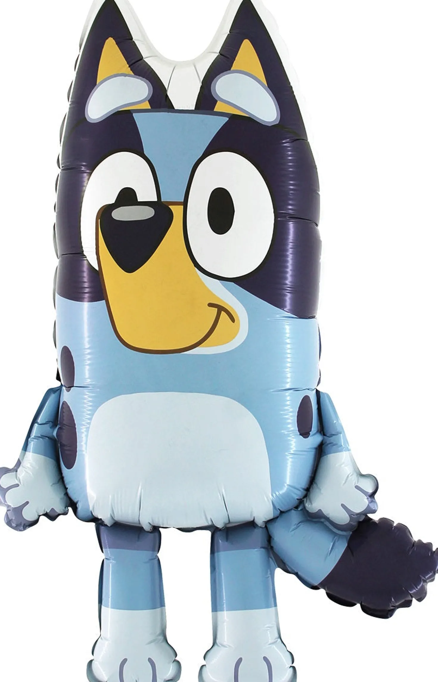 Bluey muotofoliopallo
