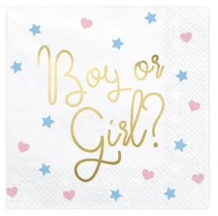 Boy or Girl suuri lautasliina 20 kpl/pkt