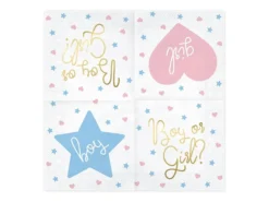 Boy or Girl suuri lautasliina 20 kpl/pkt