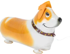 Corgi kävelevä foliopallo S
