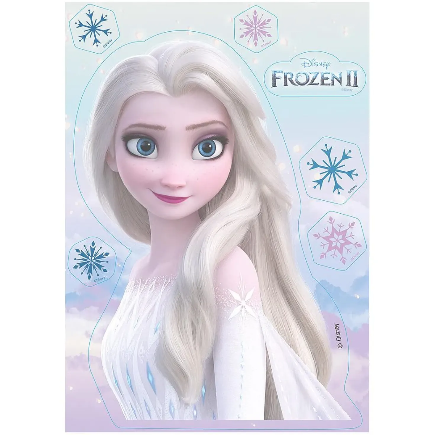 Frozen Elsa syötävä kakkukuva