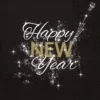 Happy New Year lautasliina 33 x 33 cm 20 kpl/pkt