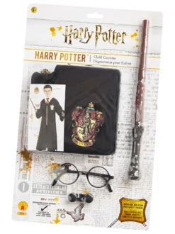 Harry Potter asusetti; kaapu, lasit ja taikasauva