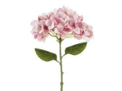 Hortensia 35 cm, vaaleanpunainen