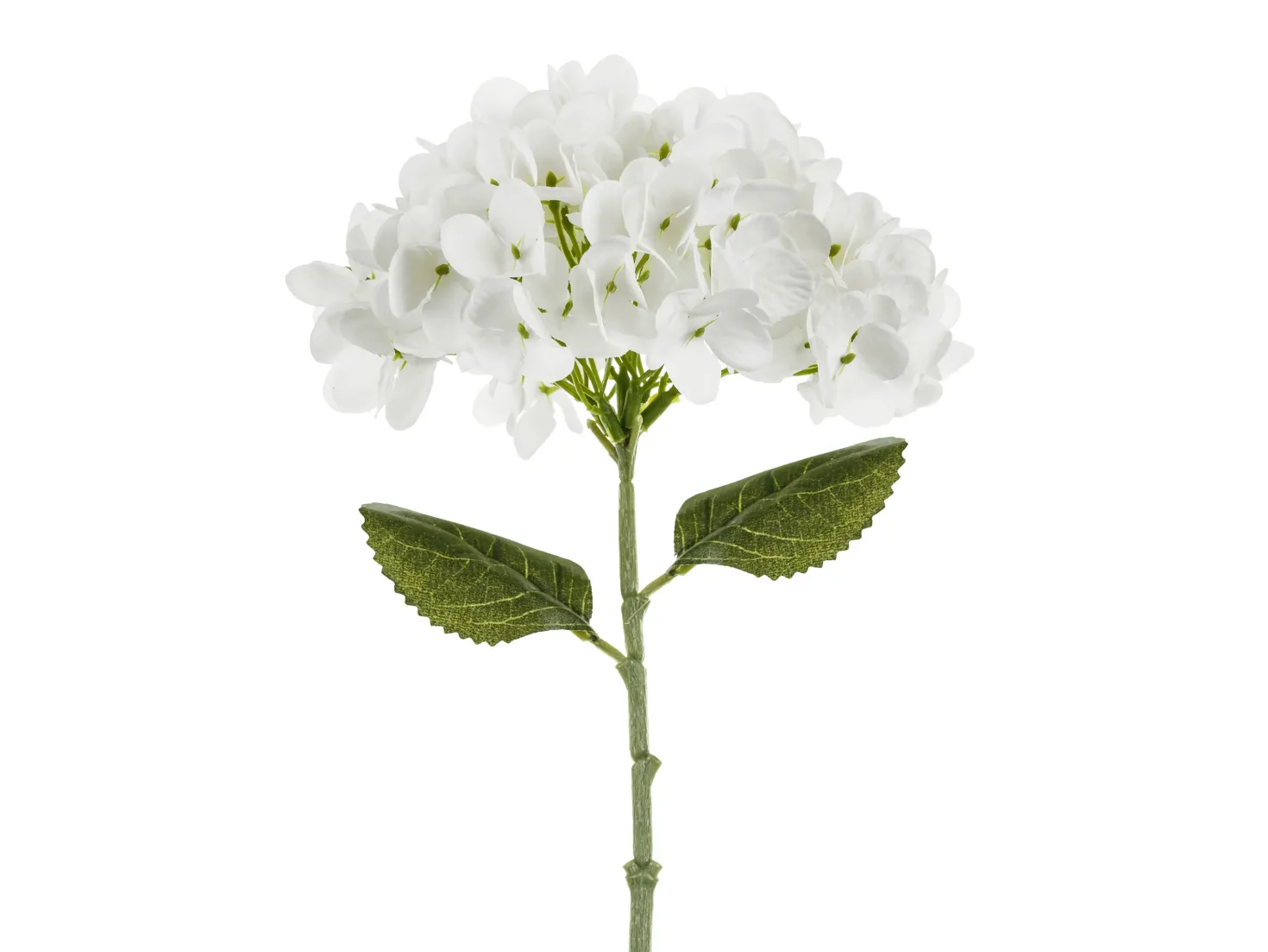 Hortensia 35 cm, valkoinen