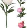 Koristepioni 60 cm, lajitelmatuote 3 eri väriä