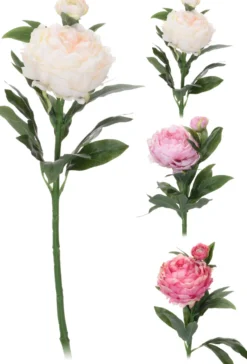 Koristepioni 60 cm, lajitelmatuote 3 eri väriä