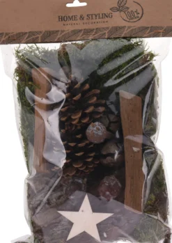 Koristesammalet ja kävyt