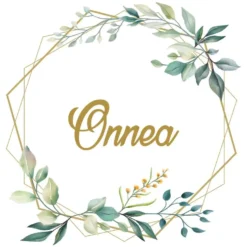Onnea pieni lautasliina 25 x 25 cm 20 kpl/pkt
