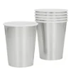 Pahvimuki hopeanvärinen 250 ml 6 kpl/pkt