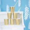 Pahvimuki korkeakiiltokulta 220 ml 6 kpl/pkt