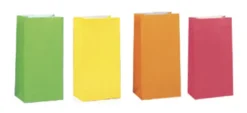 Paperinen lahjapussi neon 10 kpl/pkt