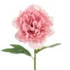 Pioni 35 cm, pinkki