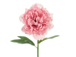 Pioni 35 cm, pinkki
