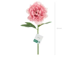 Pioni 35 cm, pinkki