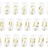 Pöytänumerokortit 1-20