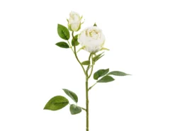 Ruusu kahdella nupulla 55 cm, kermanvärinen