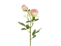 Ruusu kahdella nupulla 55 cm, vaaleanpunainen