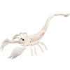 Skorpioni luuranko 31 cm