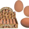 Superpallo, kananmuna 5,5 cm