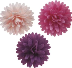Syötävä koriste, Dahlia 12 kpl