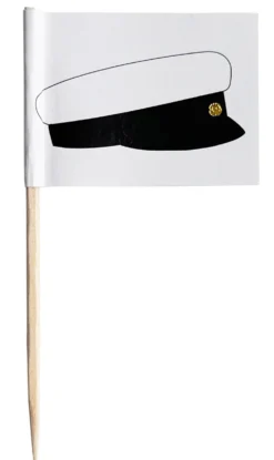 Ylioppilaslakki cocktailtikku 24 kpl/pkt