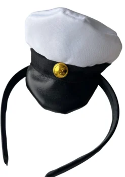 Ylioppilaslakki -panta
